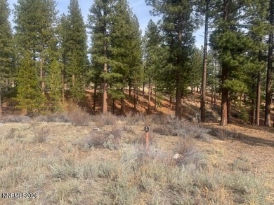 A beautiful and serene homesite behind the private gates of on Clear Creek Tahoe in Nevada - for sale on GolfHomes.com, golf home, golf lot