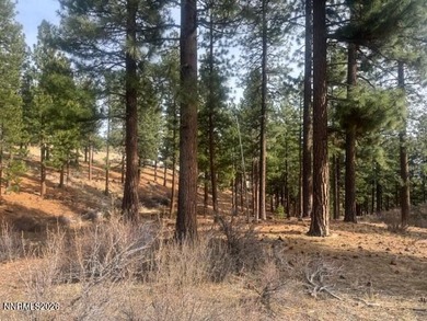 A beautiful and serene homesite behind the private gates of on Clear Creek Tahoe in Nevada - for sale on GolfHomes.com, golf home, golf lot