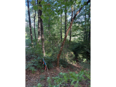 Two adjoining lake front lots on beautiful Lake Toxaway on Lake Toxaway Country Club in North Carolina - for sale on GolfHomes.com, golf home, golf lot