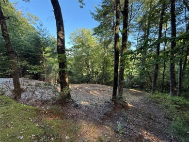 Two adjoining lake front lots on beautiful Lake Toxaway on Lake Toxaway Country Club in North Carolina - for sale on GolfHomes.com, golf home, golf lot
