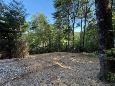 Two adjoining lake front lots on beautiful Lake Toxaway on Lake Toxaway Country Club in North Carolina - for sale on GolfHomes.com, golf home, golf lot
