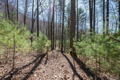 Escape to your very own slice of paradise within the luxurious on Natures Walk At Chinquapin in North Carolina - for sale on GolfHomes.com, golf home, golf lot