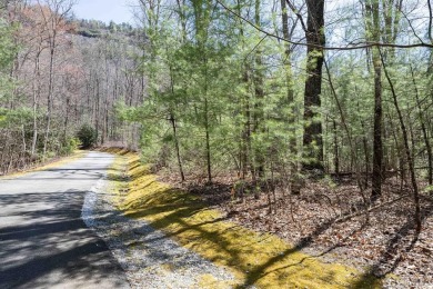 Escape to your very own slice of paradise within the luxurious on Natures Walk At Chinquapin in North Carolina - for sale on GolfHomes.com, golf home, golf lot