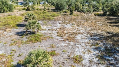 Discover the perfect location for your dream home! This cleared on Deep Creek Golf Club in Florida - for sale on GolfHomes.com, golf home, golf lot