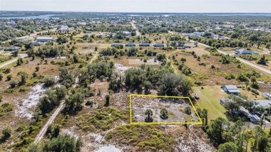 Discover the perfect location for your dream home! This cleared on Deep Creek Golf Club in Florida - for sale on GolfHomes.com, golf home, golf lot