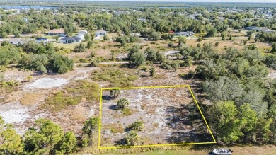 Discover the perfect location for your dream home! This cleared on Deep Creek Golf Club in Florida - for sale on GolfHomes.com, golf home, golf lot