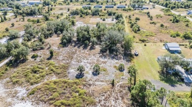Discover the perfect location for your dream home! This cleared on Deep Creek Golf Club in Florida - for sale on GolfHomes.com, golf home, golf lot