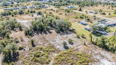 Discover the perfect location for your dream home! This cleared on Deep Creek Golf Club in Florida - for sale on GolfHomes.com, golf home, golf lot