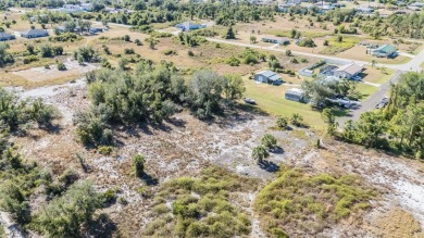 Discover the perfect location for your dream home! This cleared on Deep Creek Golf Club in Florida - for sale on GolfHomes.com, golf home, golf lot