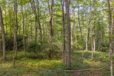 Set on 6.93 acres, this secluded homesite offers stunning close on Natures Walk At Chinquapin in North Carolina - for sale on GolfHomes.com, golf home, golf lot
