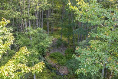 Set on 6.93 acres, this secluded homesite offers stunning close on Natures Walk At Chinquapin in North Carolina - for sale on GolfHomes.com, golf home, golf lot