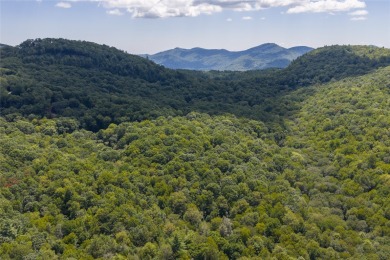 Set on 6.93 acres, this secluded homesite offers stunning close on Natures Walk At Chinquapin in North Carolina - for sale on GolfHomes.com, golf home, golf lot