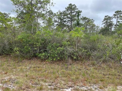 Motivated Seller - Build your dream home on this 1/2 acre wooded on Indian Lake Estates Golf and Country Club in Florida - for sale on GolfHomes.com, golf home, golf lot