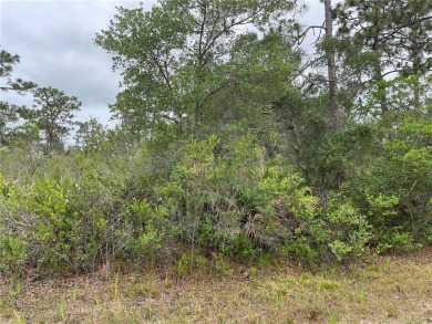 Motivated Seller - Build your dream home on this 1/2 acre wooded on Indian Lake Estates Golf and Country Club in Florida - for sale on GolfHomes.com, golf home, golf lot