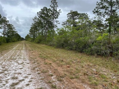 Motivated Seller - Build your dream home on this 1/2 acre wooded on Indian Lake Estates Golf and Country Club in Florida - for sale on GolfHomes.com, golf home, golf lot