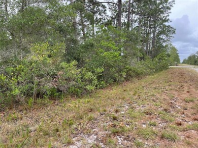 Motivated Seller - Build your dream home on this 1/2 acre wooded on Indian Lake Estates Golf and Country Club in Florida - for sale on GolfHomes.com, golf home, golf lot