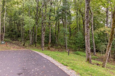 This nearly level, ready-to-build lot in the Chinquapin on Natures Walk At Chinquapin in North Carolina - for sale on GolfHomes.com, golf home, golf lot