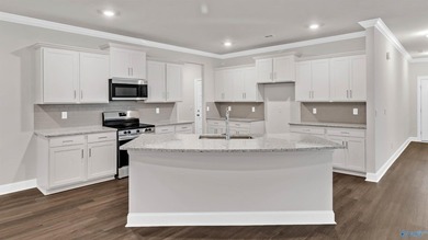 Under Construction-This stunning residence features 4 spacious on Canebrake Golf Club in Alabama - for sale on GolfHomes.com, golf home, golf lot