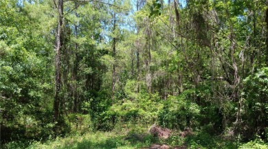 Lot with golf course frontage on championship golf course Ocala on Golden Hills Golf and Turf Club in Florida - for sale on GolfHomes.com, golf home, golf lot