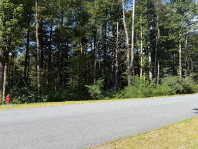Discover a rare opportunity to own the only available lot in on High Hampton Inn and Country Club in North Carolina - for sale on GolfHomes.com, golf home, golf lot