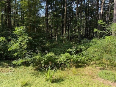 Discover a rare opportunity to own the only available lot in on High Hampton Inn and Country Club in North Carolina - for sale on GolfHomes.com, golf home, golf lot
