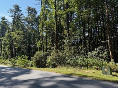 Discover a rare opportunity to own the only available lot in on High Hampton Inn and Country Club in North Carolina - for sale on GolfHomes.com, golf home, golf lot