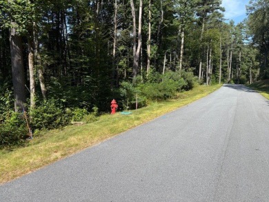 Discover a rare opportunity to own the only available lot in on High Hampton Inn and Country Club in North Carolina - for sale on GolfHomes.com, golf home, golf lot