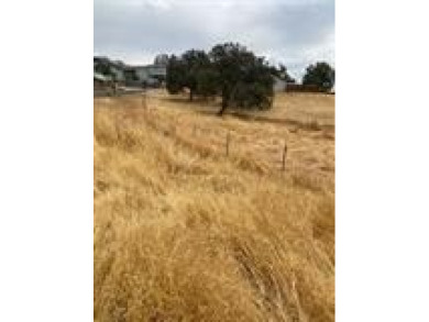One of the few lots zoned R3 in the subdivision Mostly level lot on The Club at Copper Valley Golf Course in California - for sale on GolfHomes.com, golf home, golf lot