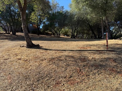 Lowest priced buildable lot in Greenhorn Creek Resort and Golf on Greenhorn Creek Resort in California - for sale on GolfHomes.com, golf home, golf lot