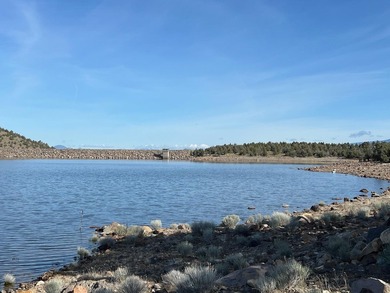 Can't beat the views from this lot!  The Golf Course AND on Lake Shastina Golf Course in California - for sale on GolfHomes.com, golf home, golf lot