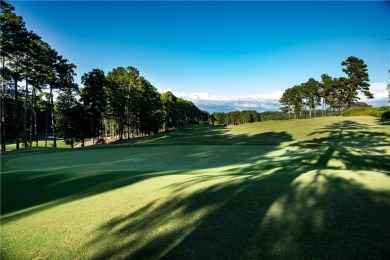 At 5.35 +/- acres, you can build just about any home.  This lots on Hawks Ridge Golf Club in Georgia - for sale on GolfHomes.com, golf home, golf lot