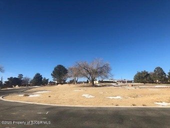 Rare find! Cleared and leveled DOUBLE lot in the San Juan on San Juan Country Club in New Mexico - for sale on GolfHomes.com, golf home, golf lot
