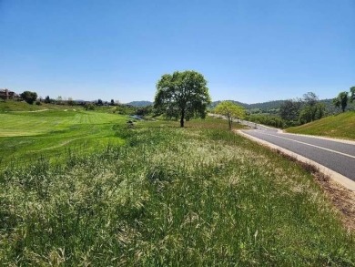 This majestic lot boast .53 acres with a forest of oak trees on The Club at Copper Valley Golf Course in California - for sale on GolfHomes.com, golf home, golf lot