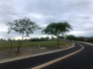 This majestic lot boast .53 acres with a forest of oak trees on The Club at Copper Valley Golf Course in California - for sale on GolfHomes.com, golf home, golf lot