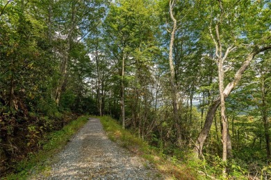 Nestled between soaring ridges in the southern corridor of on Headwaters Golf Club in North Carolina - for sale on GolfHomes.com, golf home, golf lot