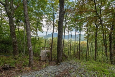 Nestled between soaring ridges in the southern corridor of on Headwaters Golf Club in North Carolina - for sale on GolfHomes.com, golf home, golf lot