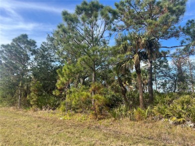 Looking for that perfect piece of land to build your slice of on Duffys Golf Center in Florida - for sale on GolfHomes.com, golf home, golf lot