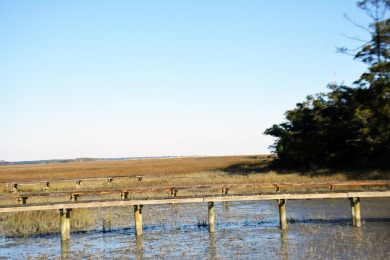 Best of the best! Rare creek front with dock on one side and on The Plantation Course At Edisto in South Carolina - for sale on GolfHomes.com, golf home, golf lot