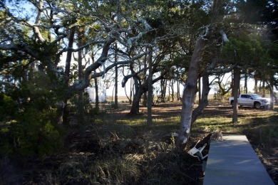 Best of the best! Rare creek front with dock on one side and on The Plantation Course At Edisto in South Carolina - for sale on GolfHomes.com, golf home, golf lot