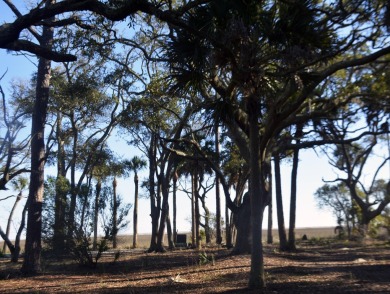 Best of the best! Rare creek front with dock on one side and on The Plantation Course At Edisto in South Carolina - for sale on GolfHomes.com, golf home, golf lot