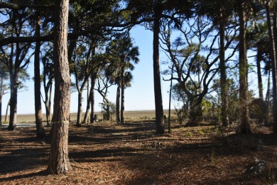 Best of the best! Rare creek front with dock on one side and on The Plantation Course At Edisto in South Carolina - for sale on GolfHomes.com, golf home, golf lot