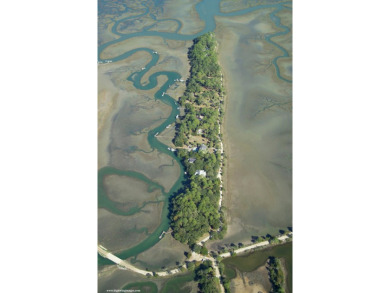 Best of the best! Rare creek front with dock on one side and on The Plantation Course At Edisto in South Carolina - for sale on GolfHomes.com, golf home, golf lot