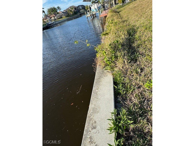 If you are looking for the perfect lot to build your dream home on Palmetto-Pine Country Club in Florida - for sale on GolfHomes.com, golf home, golf lot