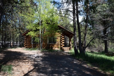 Come and see this beautifully crafted log cabin located near the on Quail Run Golf Course in Oregon - for sale on GolfHomes.com, golf home, golf lot