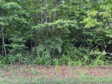Single larger lot in Lake Tansi Village & Resort, Crossville on Lake Tansi Village Country Club in Tennessee - for sale on GolfHomes.com, golf home, golf lot