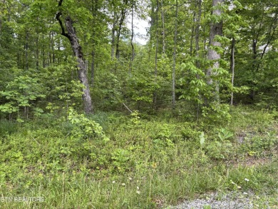 Soil Tested half acre in Lake Tansi Village, Crossville on Lake Tansi Village Country Club in Tennessee - for sale on GolfHomes.com, golf home, golf lot