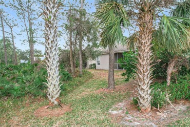 Welcome to your dream home in the Opal Hill section of LPGA on LPGA International Golf Course in Florida - for sale on GolfHomes.com, golf home, golf lot