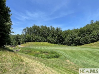 Exceptional opportunity to acquire a prime Golf View lot. Revel on Burlingame Country Club in North Carolina - for sale on GolfHomes.com, golf home, golf lot
