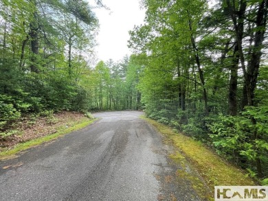 Exceptional opportunity to acquire a prime Golf View lot. Revel on Burlingame Country Club in North Carolina - for sale on GolfHomes.com, golf home, golf lot