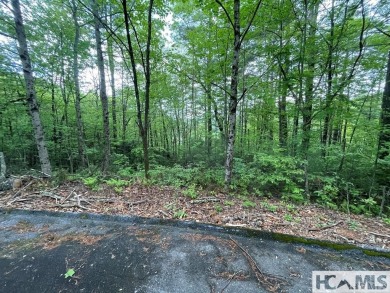 Exceptional opportunity to acquire a prime Golf View lot. Revel on Burlingame Country Club in North Carolina - for sale on GolfHomes.com, golf home, golf lot
